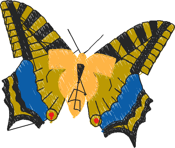 Butterflies & Insects 1  (6)