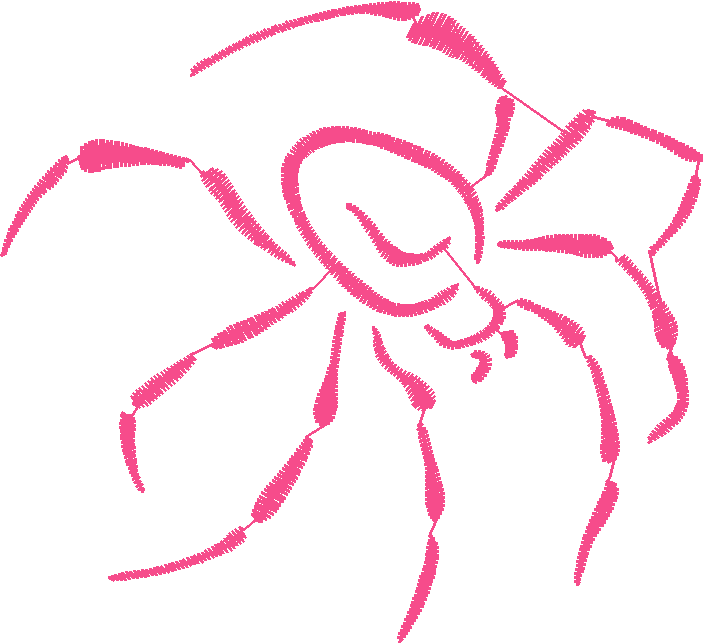 Butterflies & Insects 1  (62)