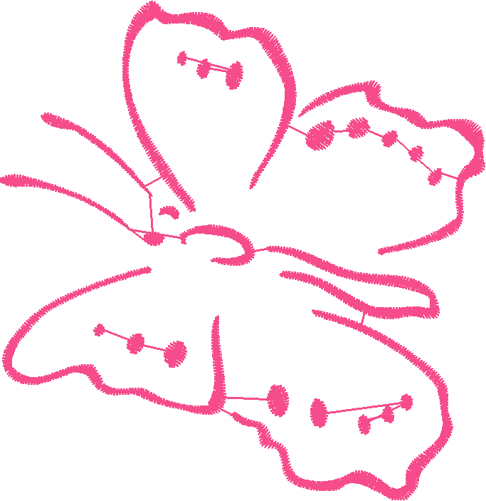 Butterflies & Insects 1  (63)