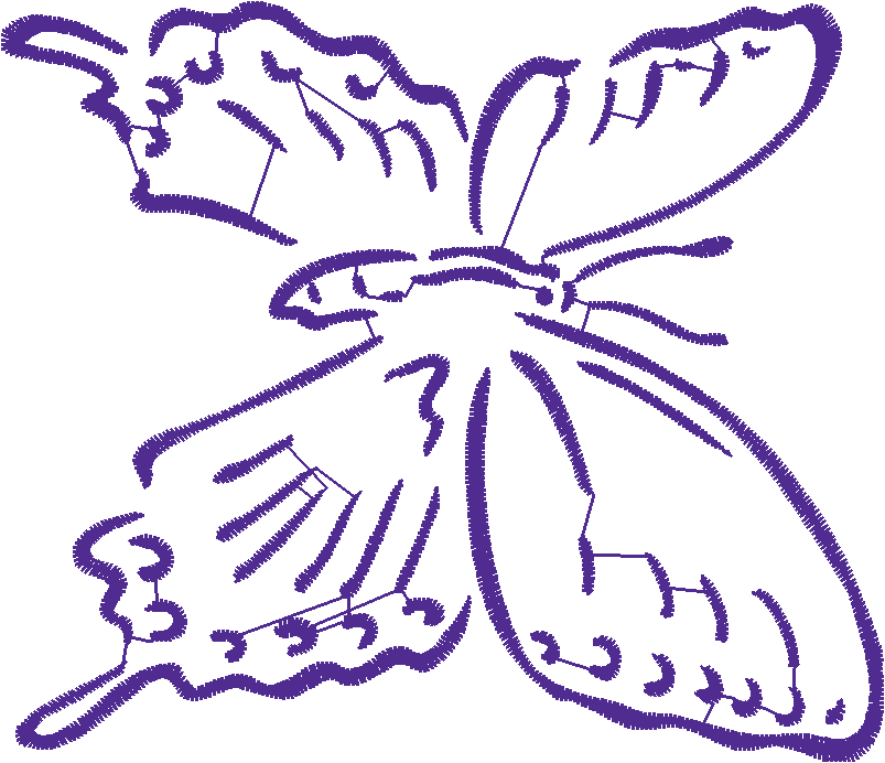 Butterflies & Insects 1  (64)