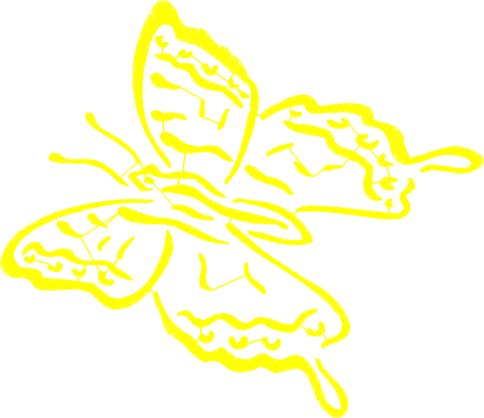 Butterflies & Insects 1  (65)