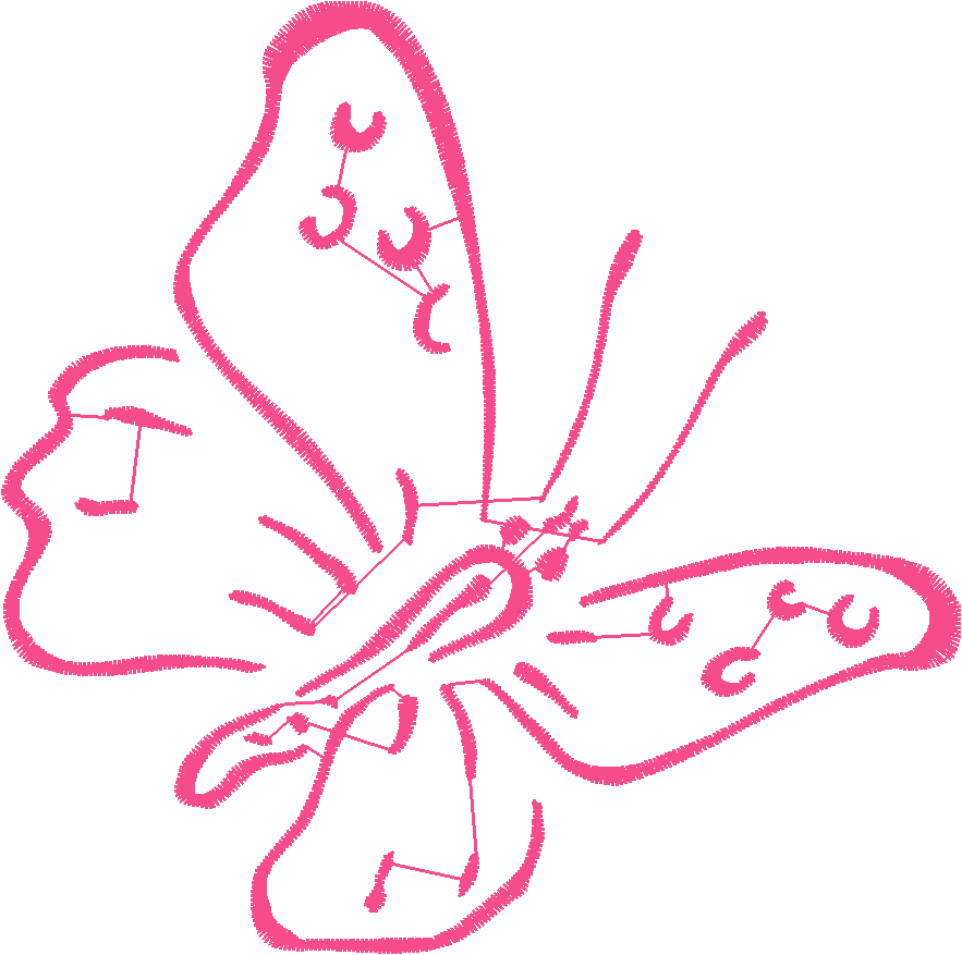 Butterflies & Insects 1  (66)