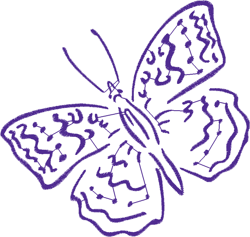 Butterflies & Insects 1  (67)