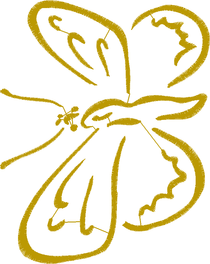 Butterflies & Insects 1  (68)