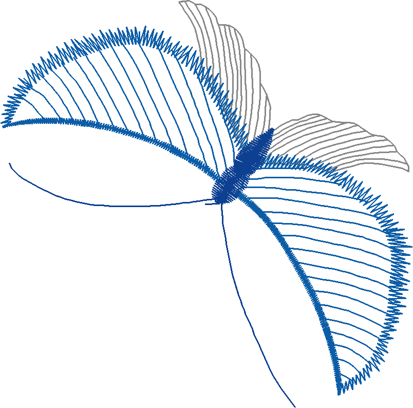 Butterflies & Insects 1  (73)