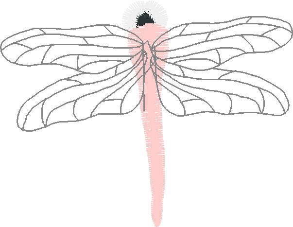 Butterflies & Insects 1  (74)