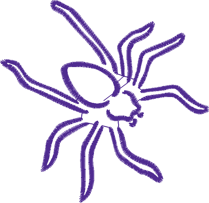 Butterflies & Insects 1  (76)