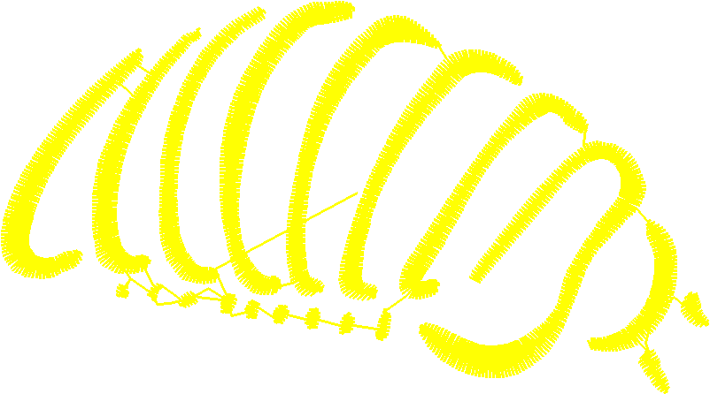 Butterflies & Insects 1  (78)