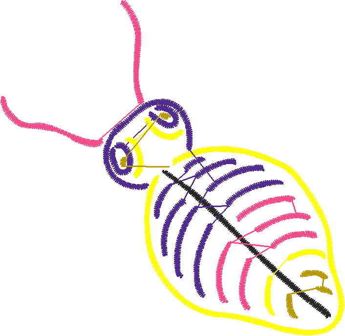 Butterflies & Insects 1  (81)