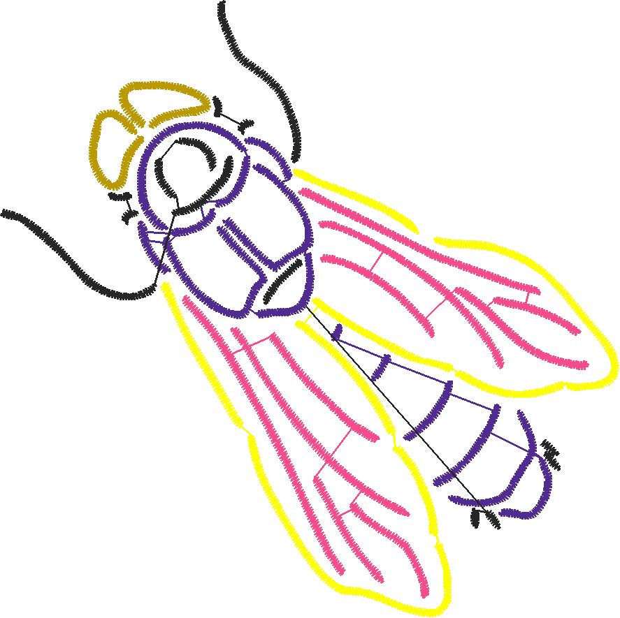 Butterflies & Insects 1  (82)