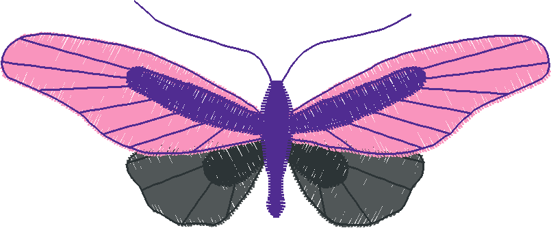 Butterflies & Insects 1  (83)