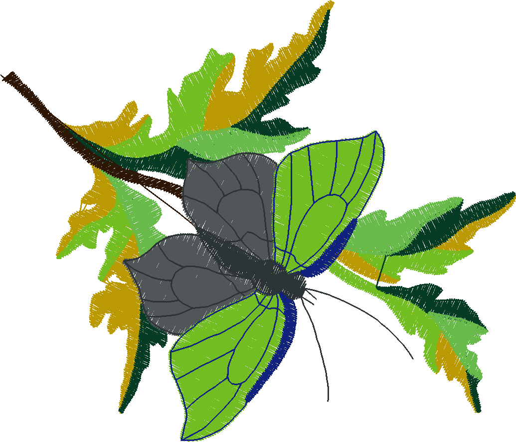 Butterflies & Insects 1  (85)