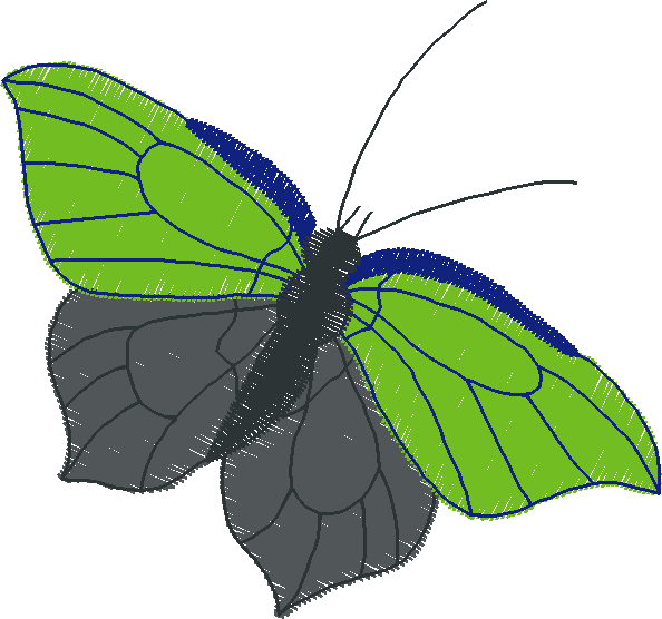 Butterflies & Insects 1  (86)