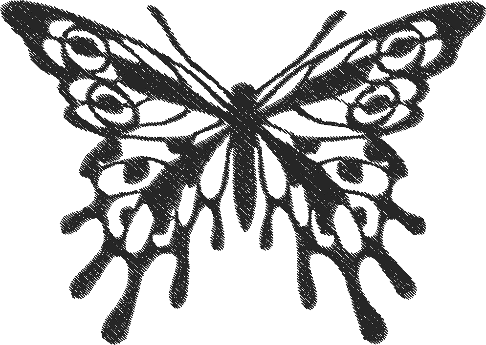 Butterflies & Insects 1  (95)