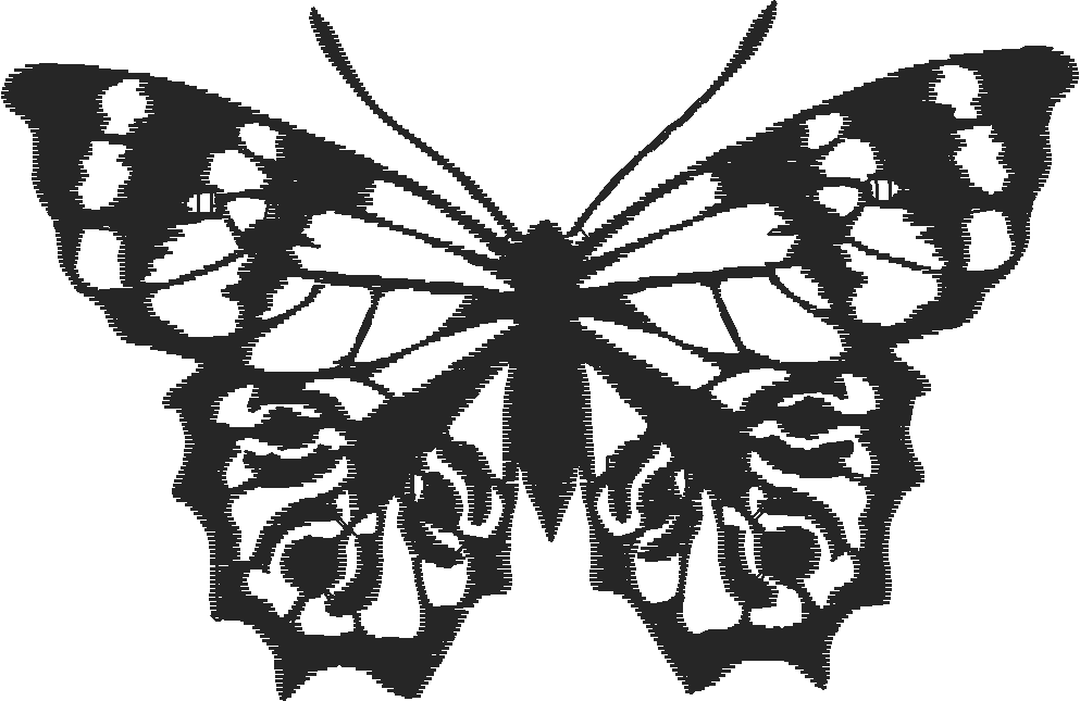 Butterflies & Insects 1  (96)