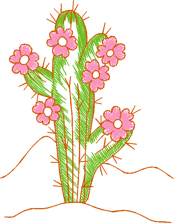 Cactus & Bullfighters 1 (1)