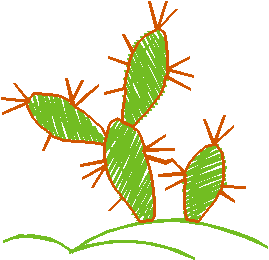 Cactus & Bullfighters 1 (12)