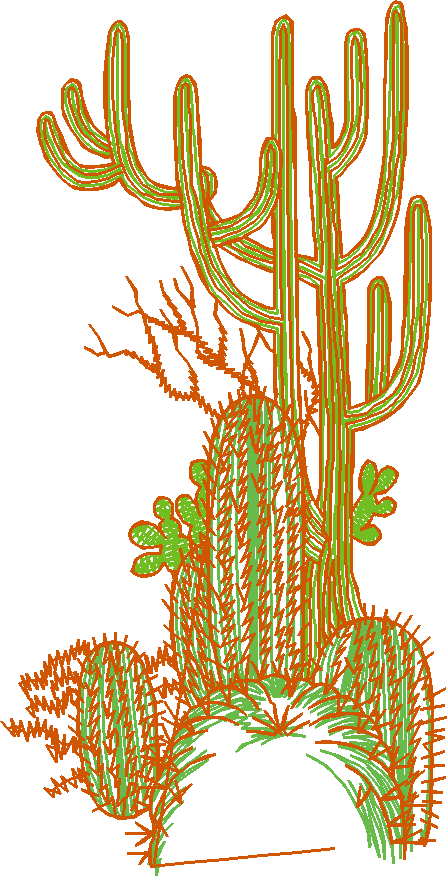 Cactus & Bullfighters 1 (3)