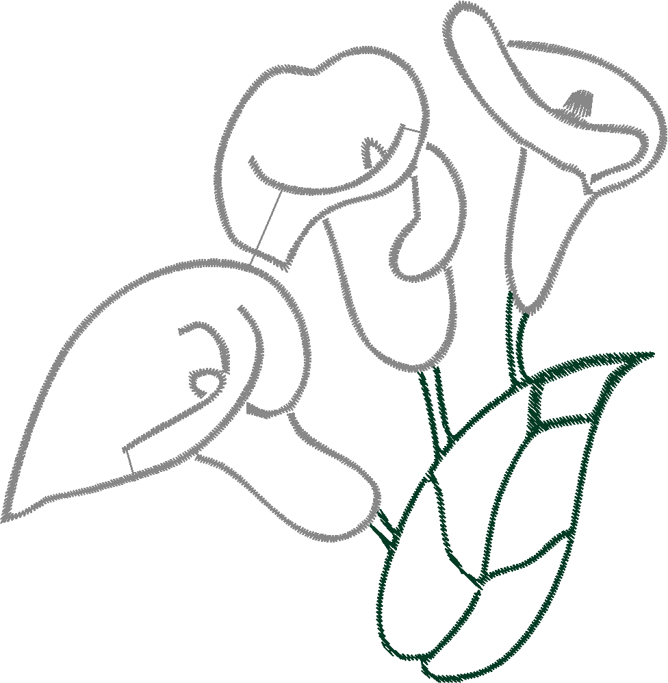 Cala Lillies 1  (10)