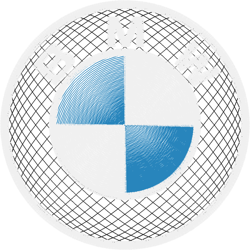 bmw (4)