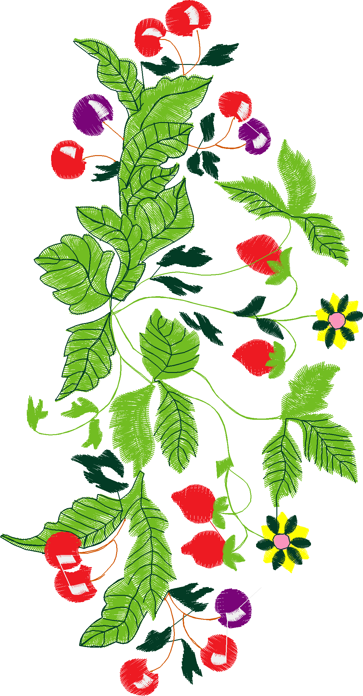 Celebration Of Fruit & Flowers 1 (10)