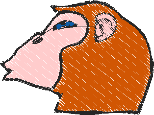 Cheeky Monkey 1 (14)