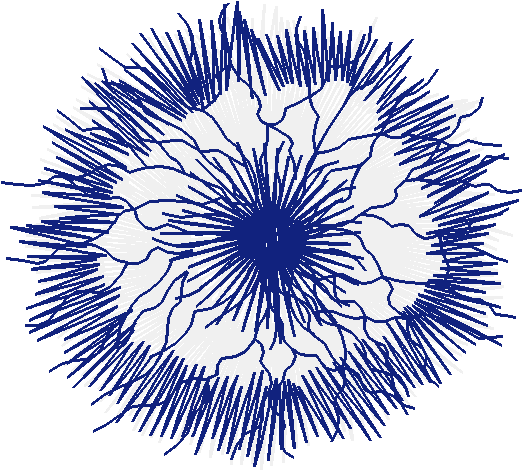 Cheerleaders 2  (17)