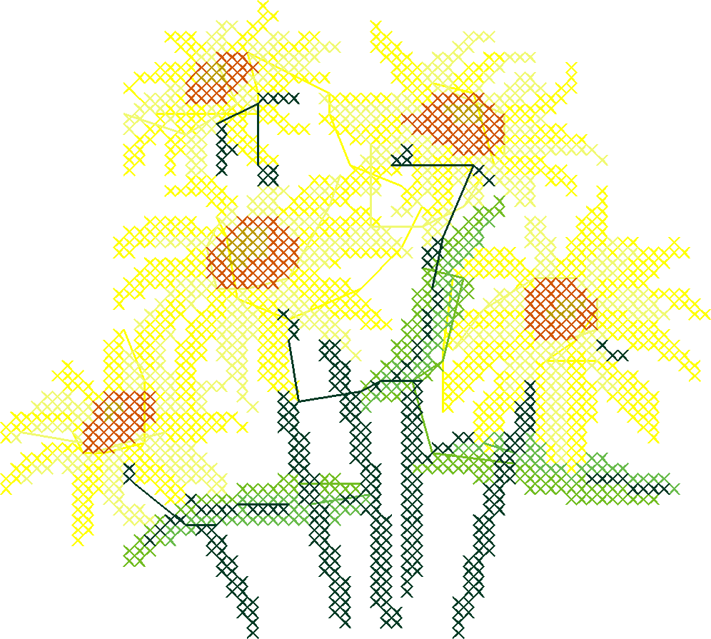 Blackeyesusan