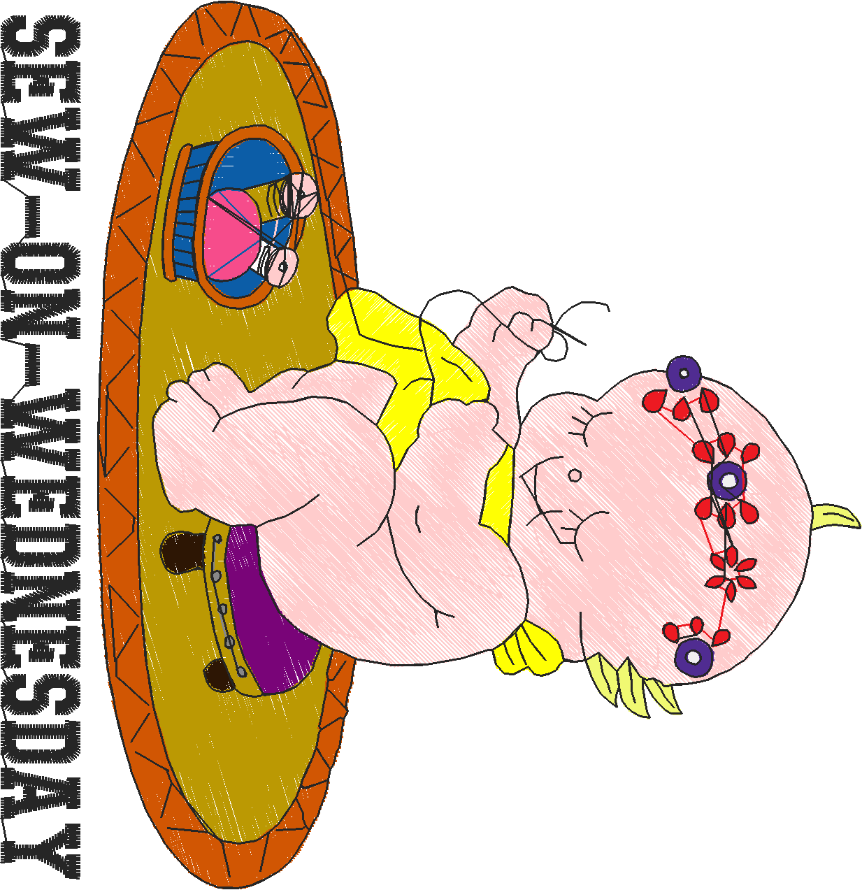 Days Of The Week - Babies  (7)