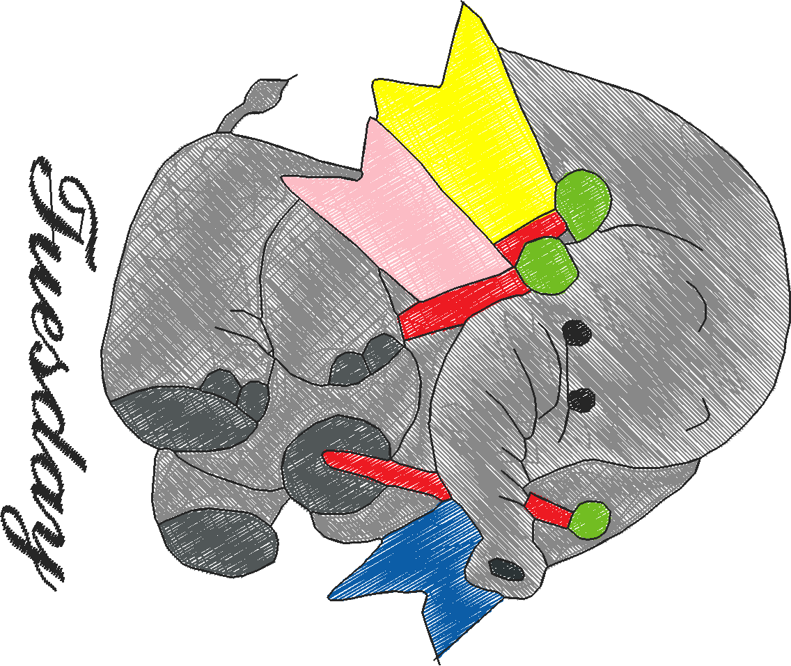 Days Of The Week - Elephants  (2)