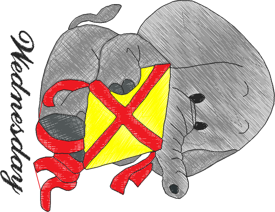 Days Of The Week - Elephants  (3)