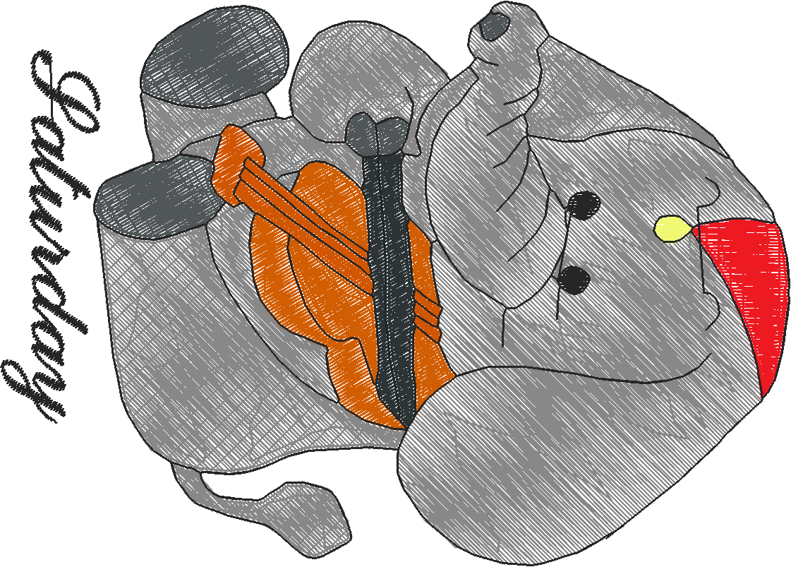 Days Of The Week - Elephants  (6)