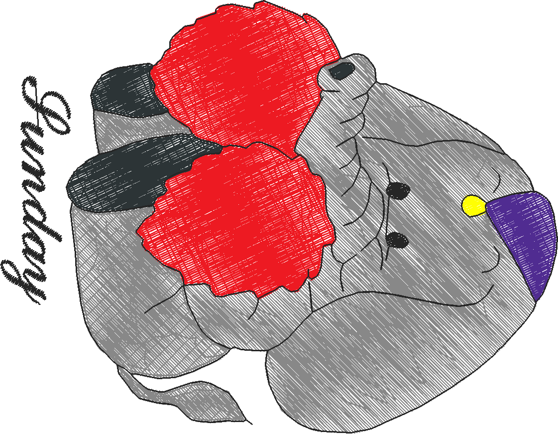 Days Of The Week - Elephants  (7)