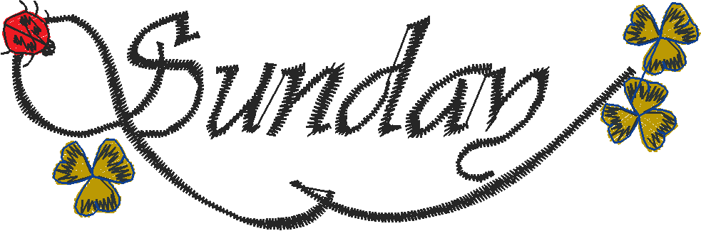 Days Of The Week Ladybugs (7)