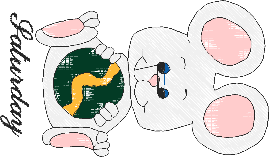 Days Of The Week - Mice  (3)