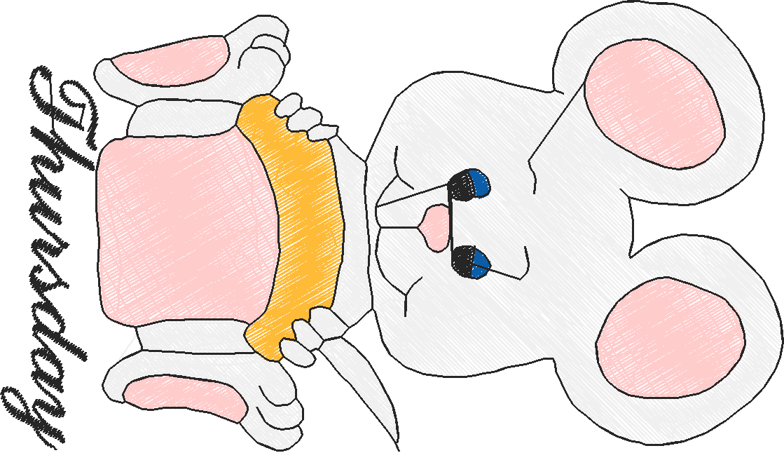 Days Of The Week - Mice  (5)