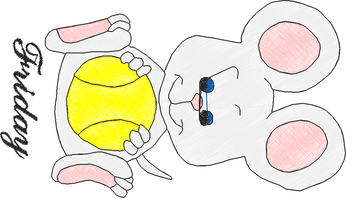 Days Of The Week - Mouse  (1)