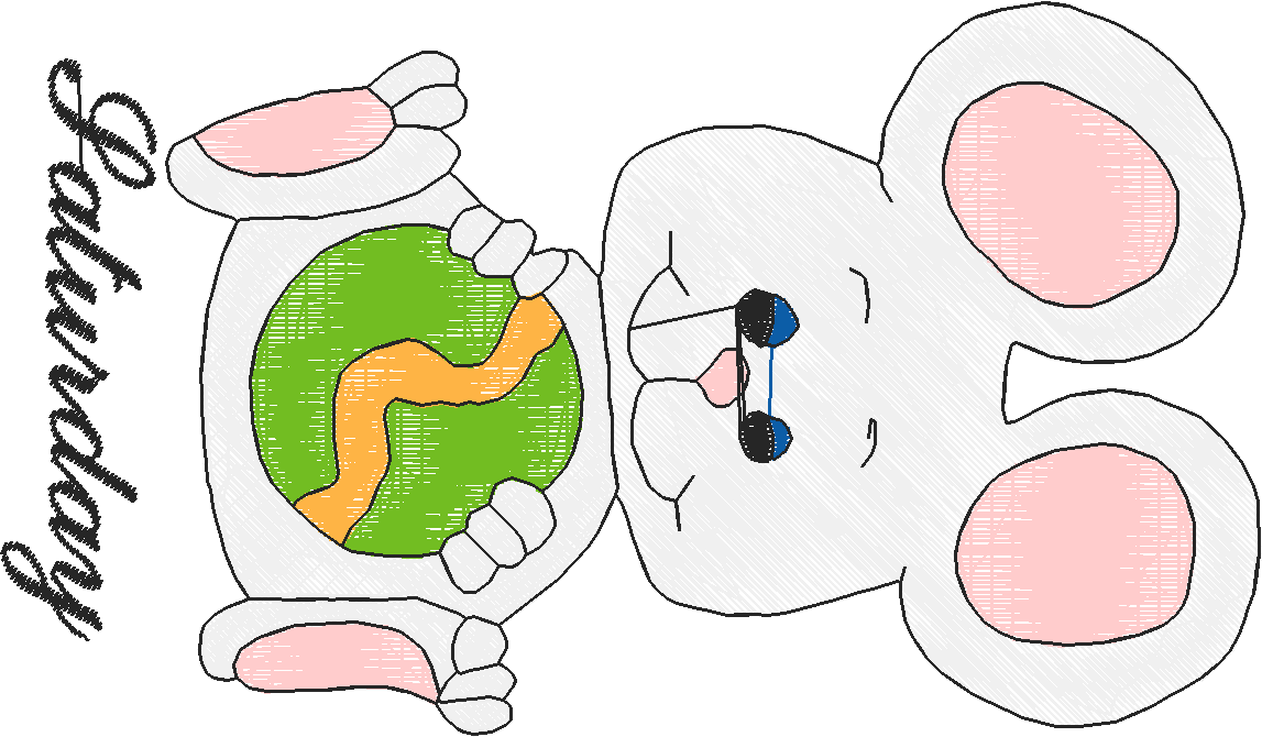 Days Of The Week - Mouse  (3)