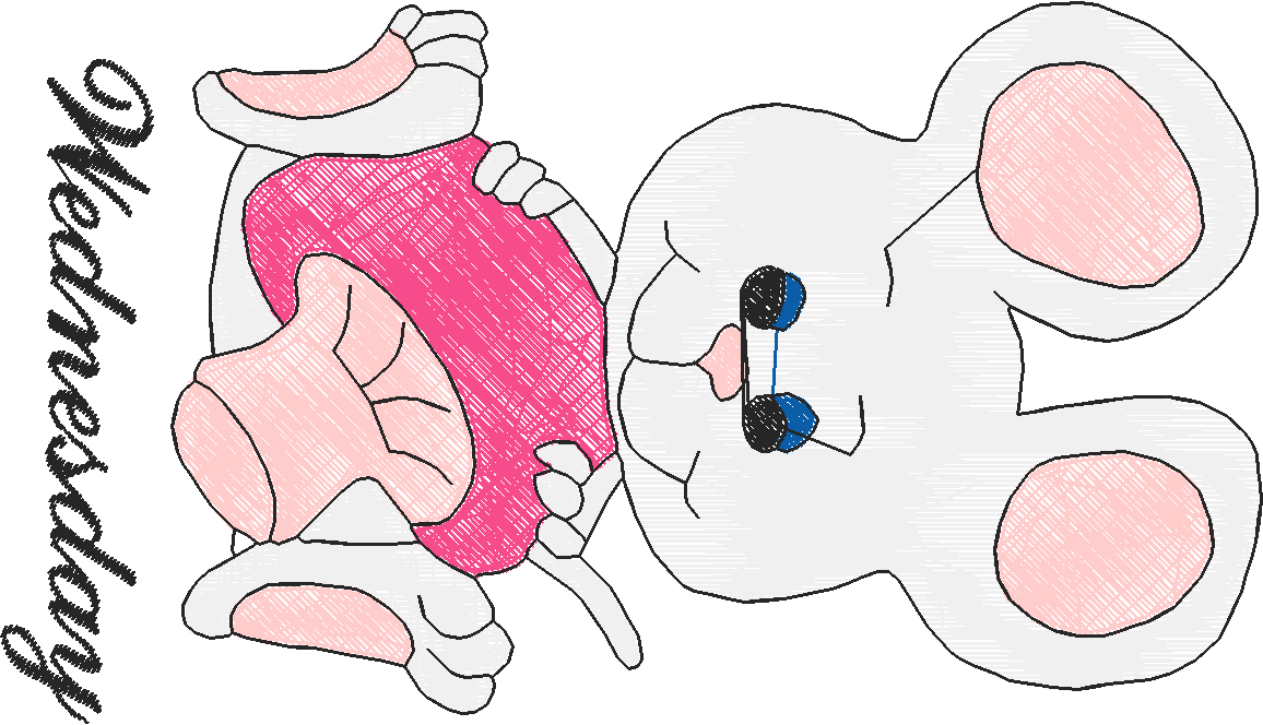 Days Of The Week - Mouse  (7)