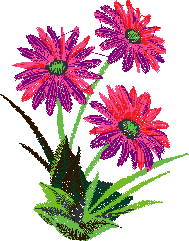 Definately Daisies 1  (2)