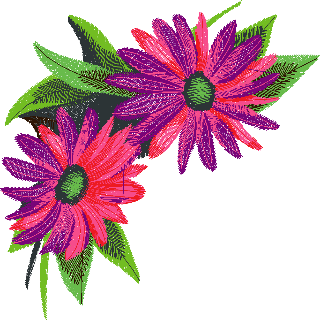 Definately Daisies 1  (3)