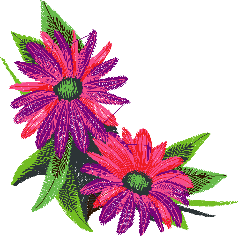 Definately Daisies 1  (4)