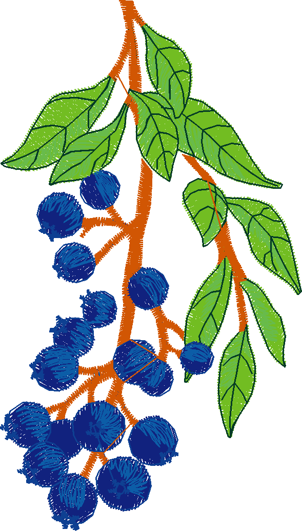 Delicate Blooms 1  (21)