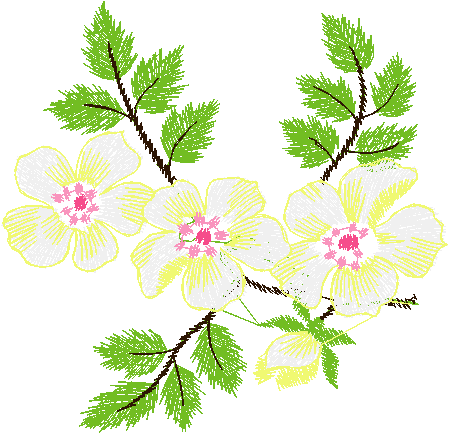 Delicate Florals  1 (6)