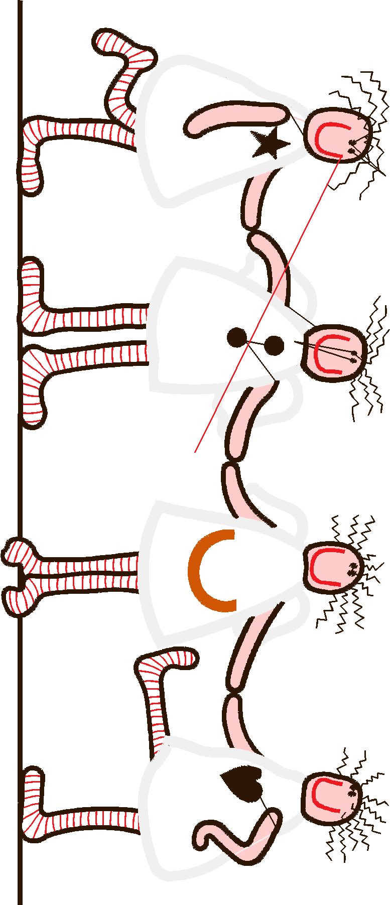 Dimensional Decorations 1  (5)