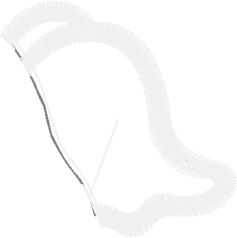 Dimensional Decorations 1  (6)