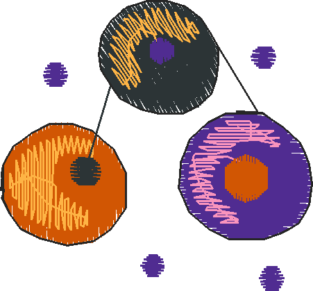 Eclectric Accents 1 (17)