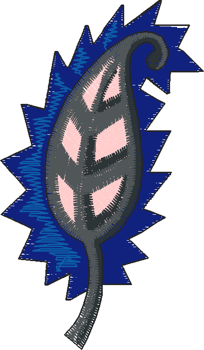 Eclectric Accents 1 (2)