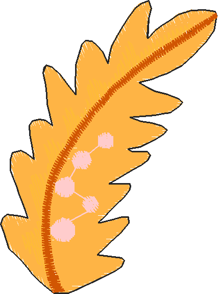 Eclectric Accents 1 (7)