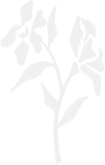 Elegant Accents 1 (12)